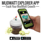 MudWatt:  Grow a Living Fuel Cell