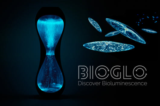 BioGlo: Bioluminescent Aquarium